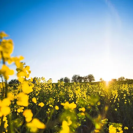 Heimathafen Hébergement de vacances