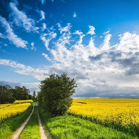 Heimathafen * Langballigholz