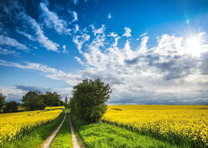 Heimathafen * Langballigholz